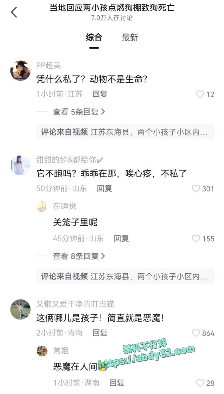 连云港两男孩烧死笼中萨摩耶 7
