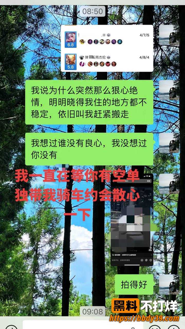 丑的精致14