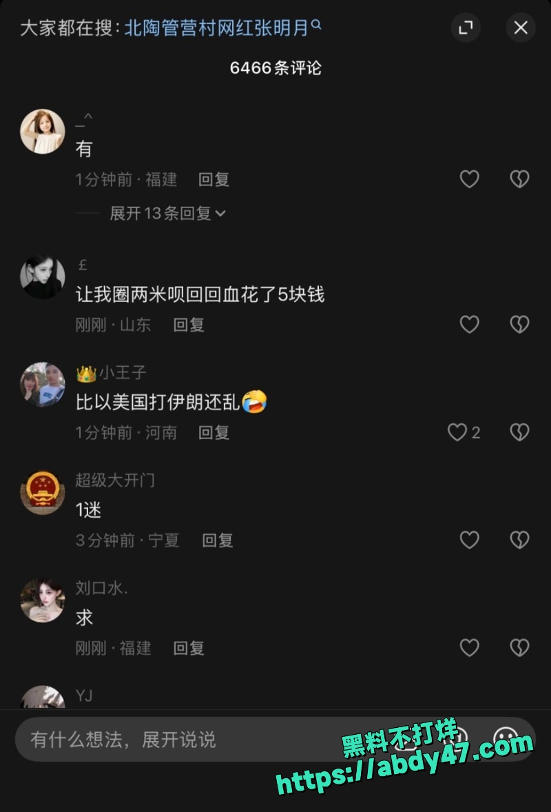 薛阿芊 12