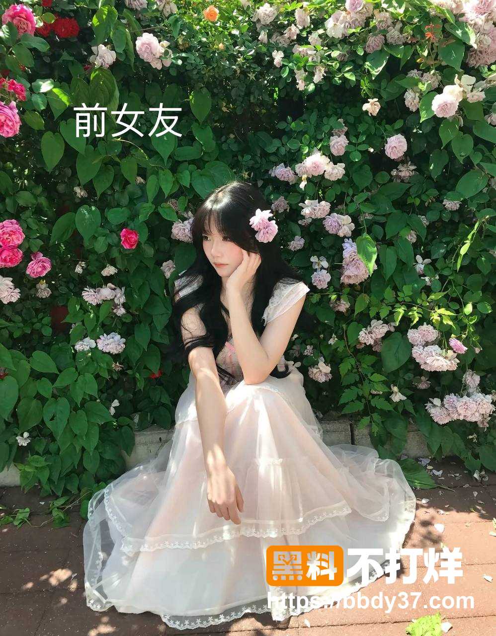 不吃汉堡照片9