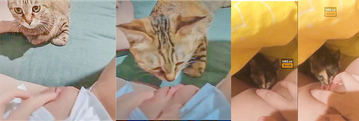 这个逼很臭吗? 猫猫一脸嫌弃,为什么还是甜得津津有味?