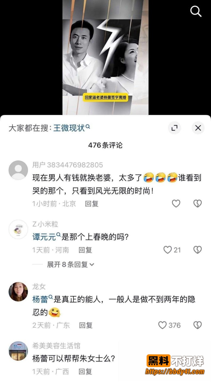 王微15