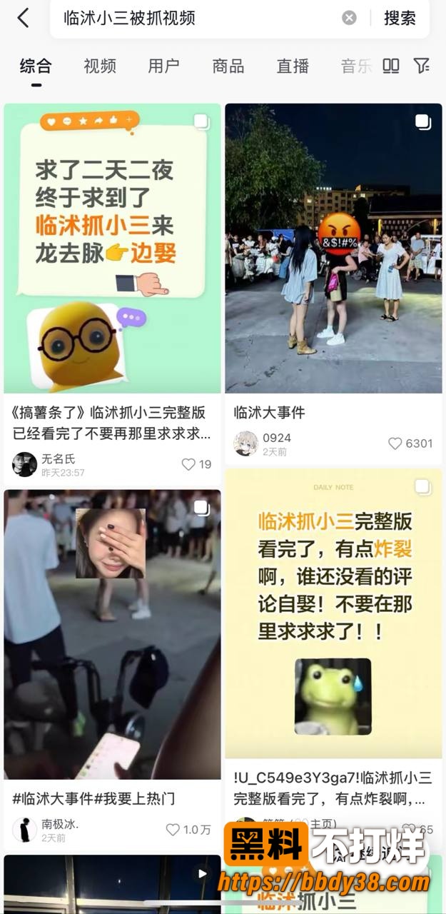 临沂临沭街头抓小三9