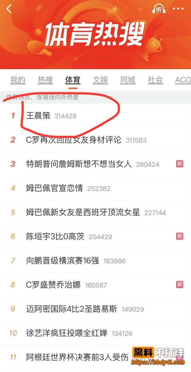 王晨策1