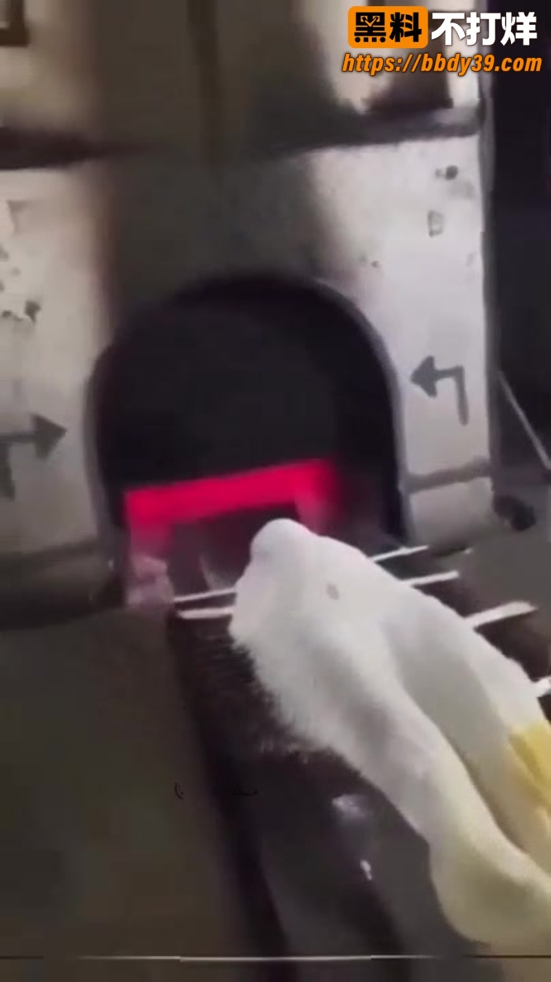 印度男子跳火化炉  1