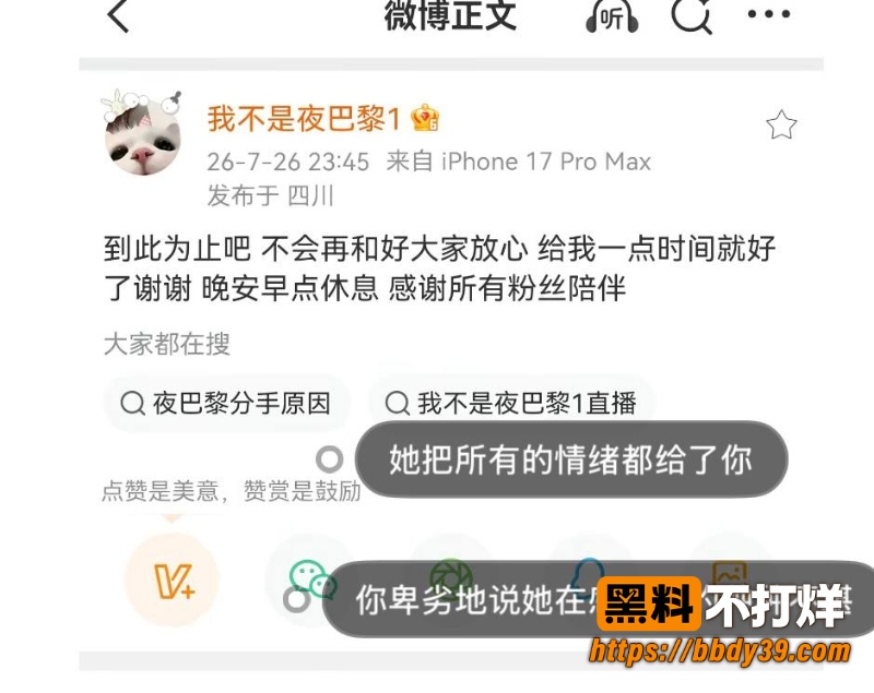 快手夜巴黎 8