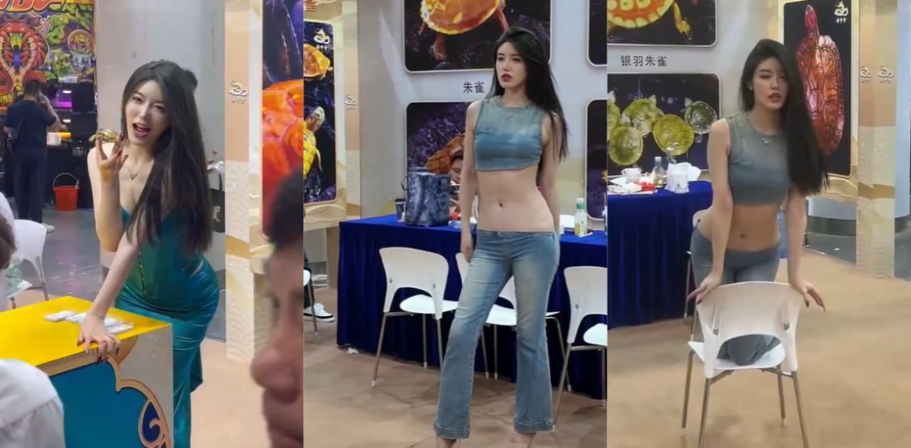 乌龟展也有女模特了?卖乌龟要这么骚么?上海龟展让狼友们眼前一亮
