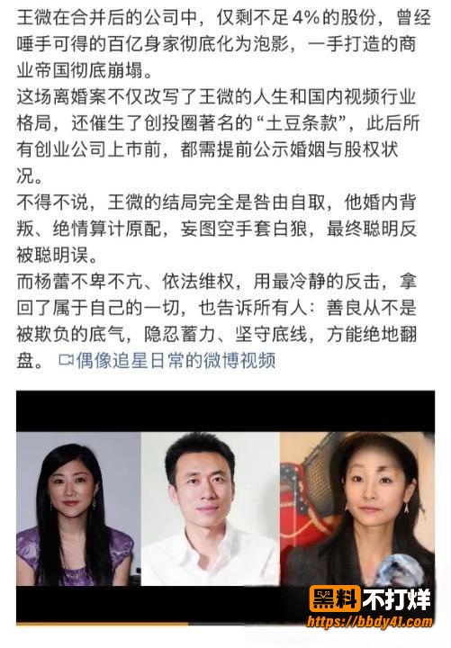 王微4