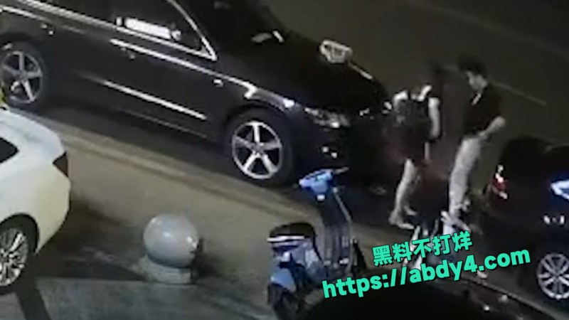 野鸳鸯精虫上脑 路边车旁激情啪啪 1