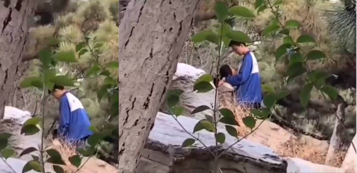 山东枣庄滕一中学 一男一女在学校花园中野战被偷拍!大吉大利,小树林吃鸡!