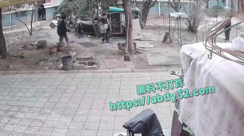 连云港两男孩烧死笼中萨摩耶 11