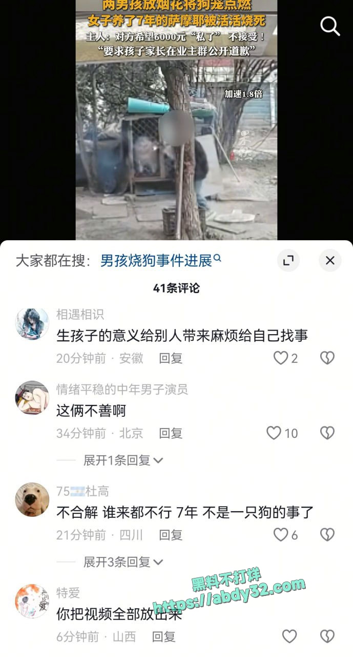 连云港两男孩烧死笼中萨摩耶 9
