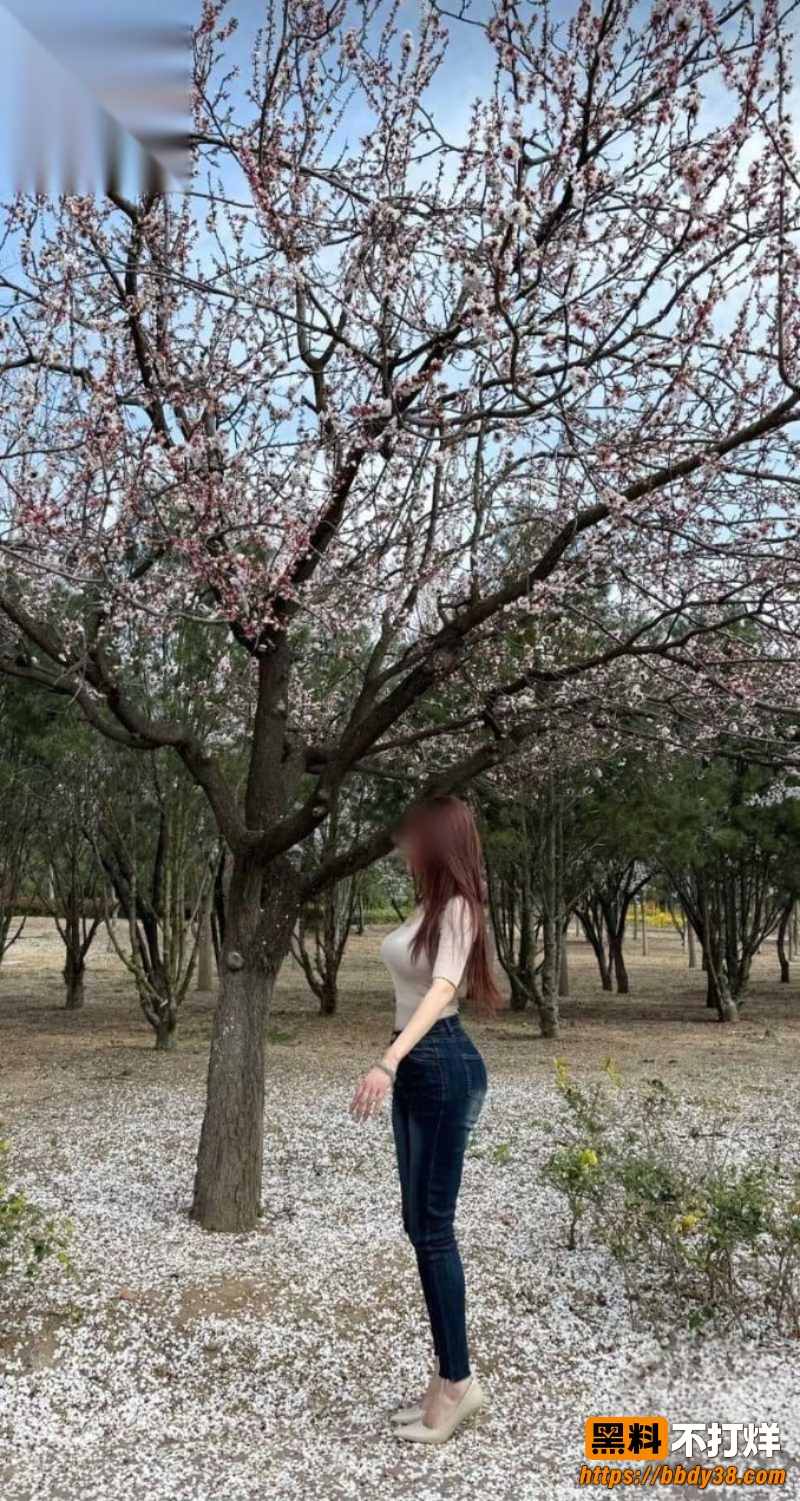海角姐弟一世情11