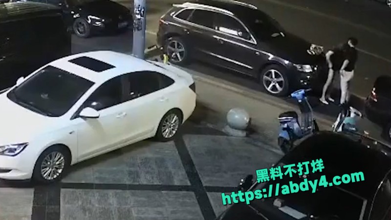 野鸳鸯精虫上脑 路边车旁激情啪啪 6