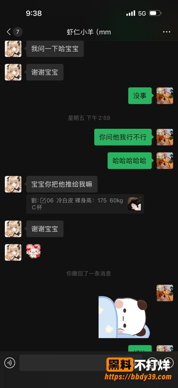 虾仁小羊聊天记录5