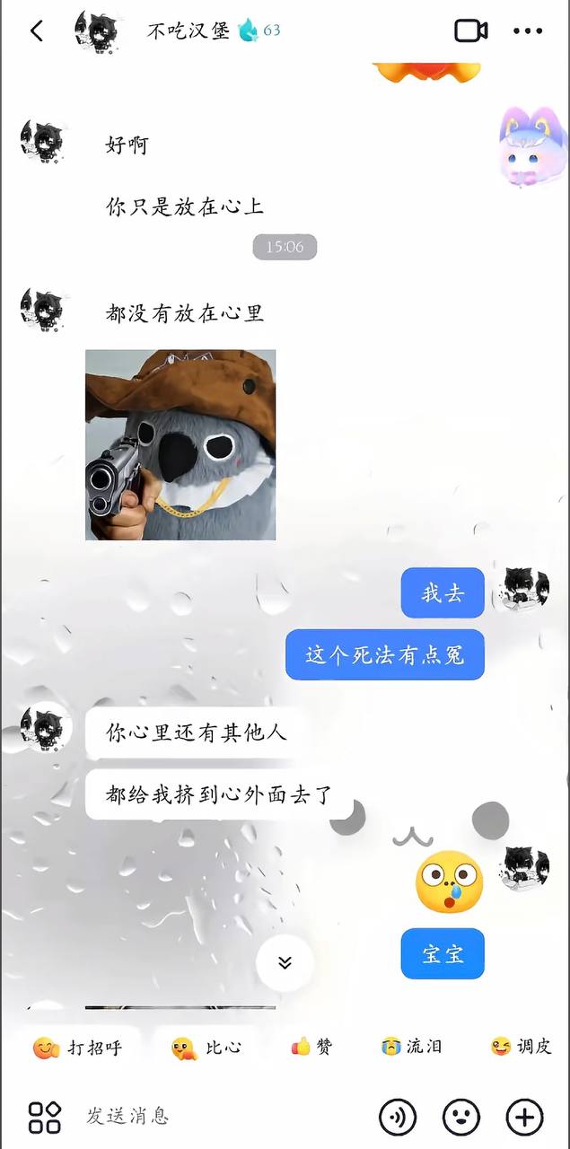 不吃汉堡聊天记录2