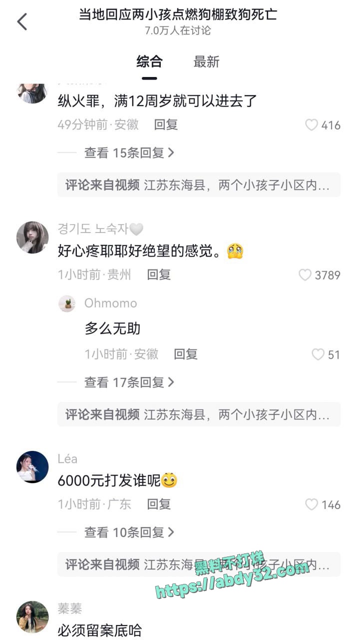 连云港两男孩烧死笼中萨摩耶 6