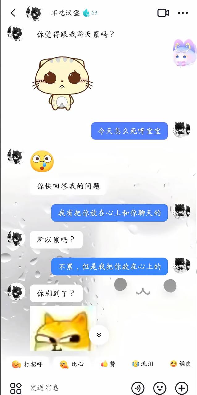 不吃汉堡聊天记录1