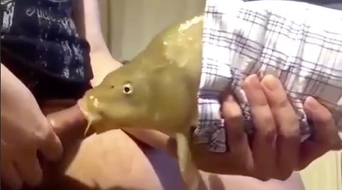 牛逼啊 卧槽 操鱼 !!!