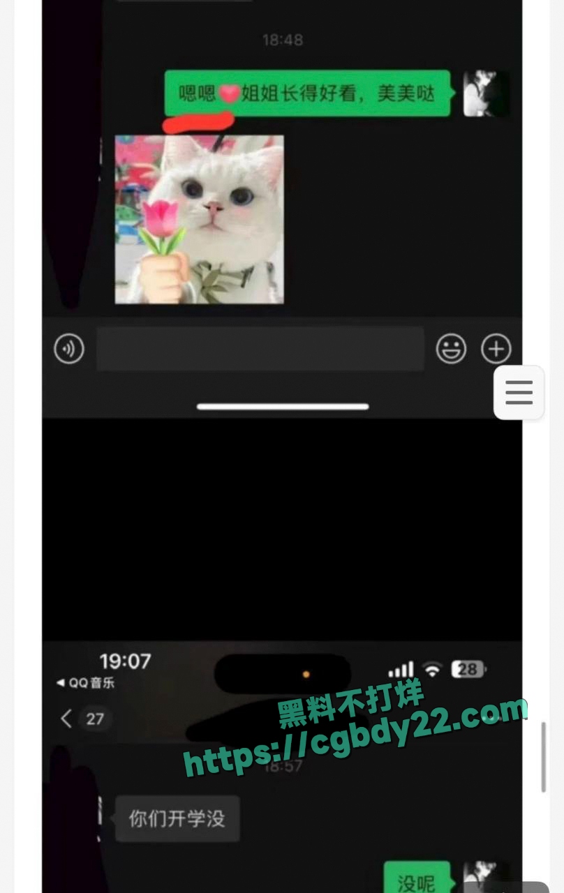 抖音网红何以解忧不会刀妹(实锤)10