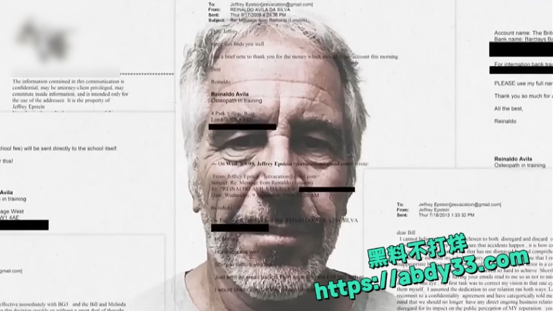 爱泼斯坦死亡谜团解开 18