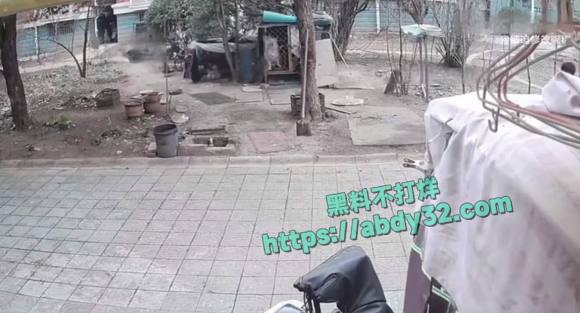 连云港两男孩烧死笼中萨摩耶 15