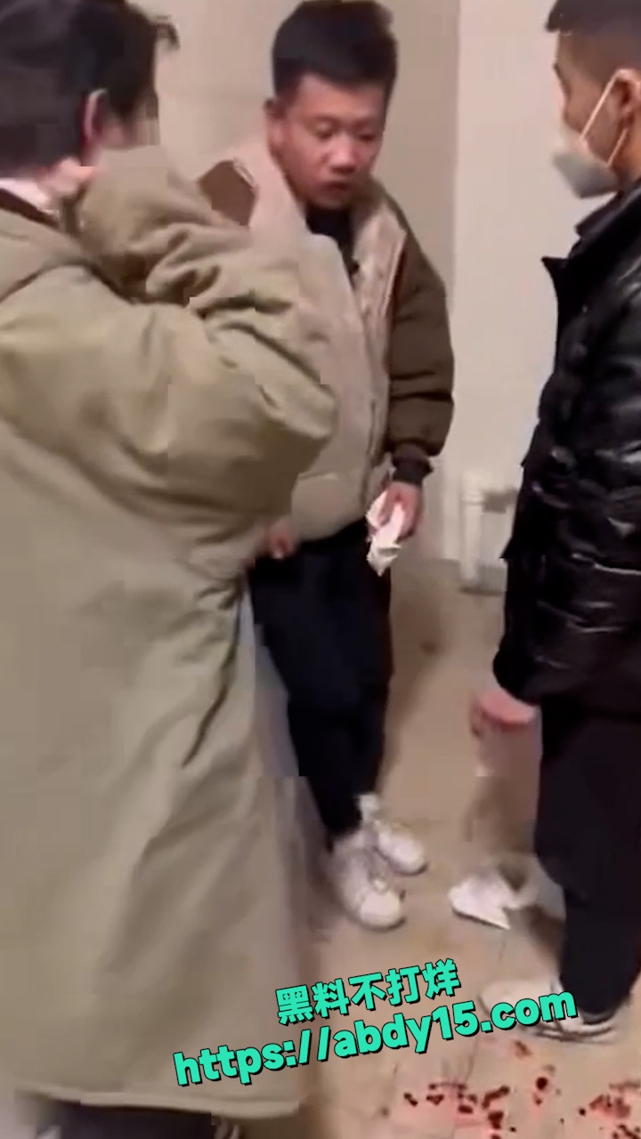 东北暴力精神小伙 10