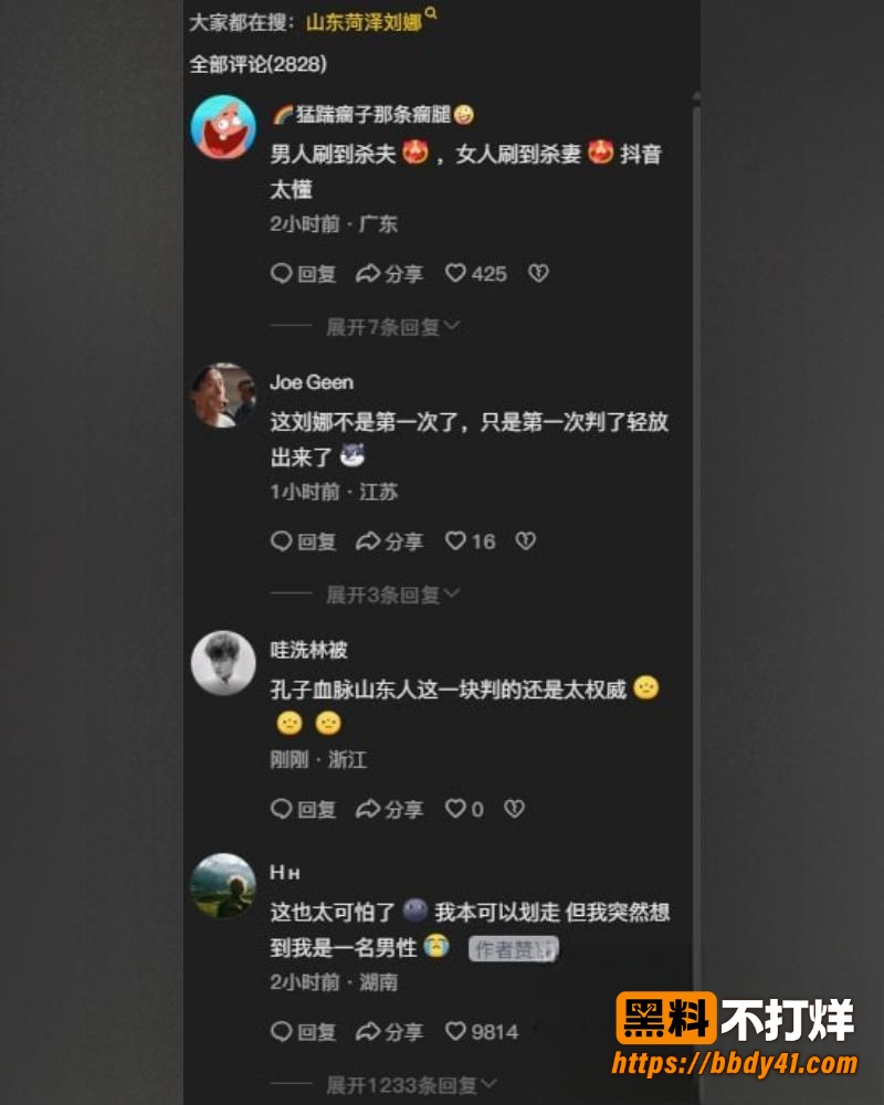 刘娜杀夫16