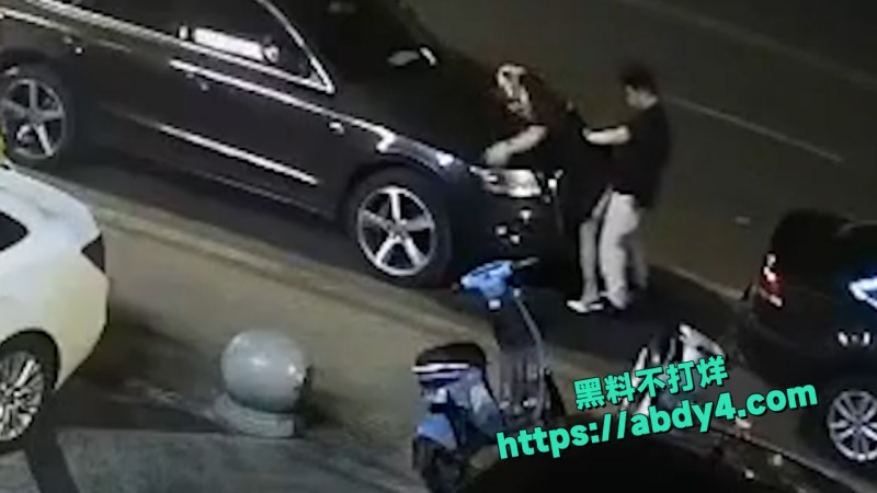 野鸳鸯精虫上脑 路边车旁激情啪啪 11