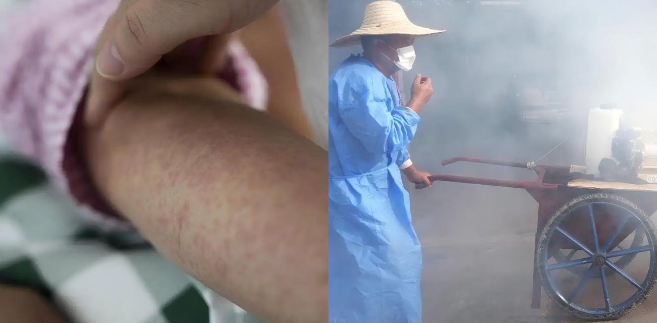 佛山基孔肯雅热来势汹汹 免费核酸三天不停 珠海推迟开学 蚊子作乱咋整?