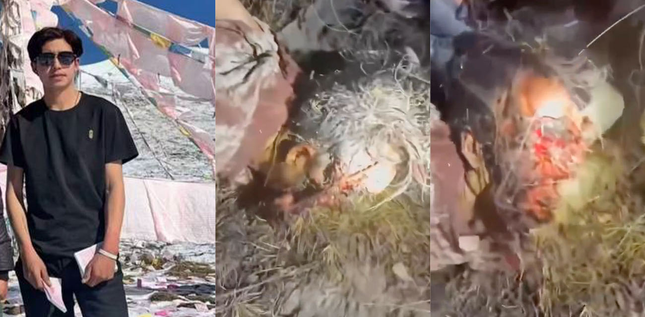 胆小瓜友请慎点!网上疯传的西藏旅游狗熊吃人事件 现场完整视频来了