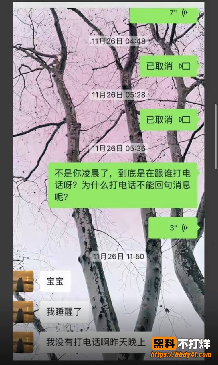 王晨策24