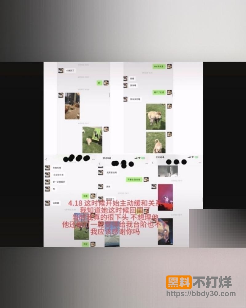 爆料11
