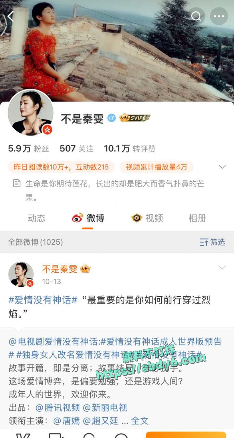 中国影视编剧古二爆王家卫秦雯录音 7