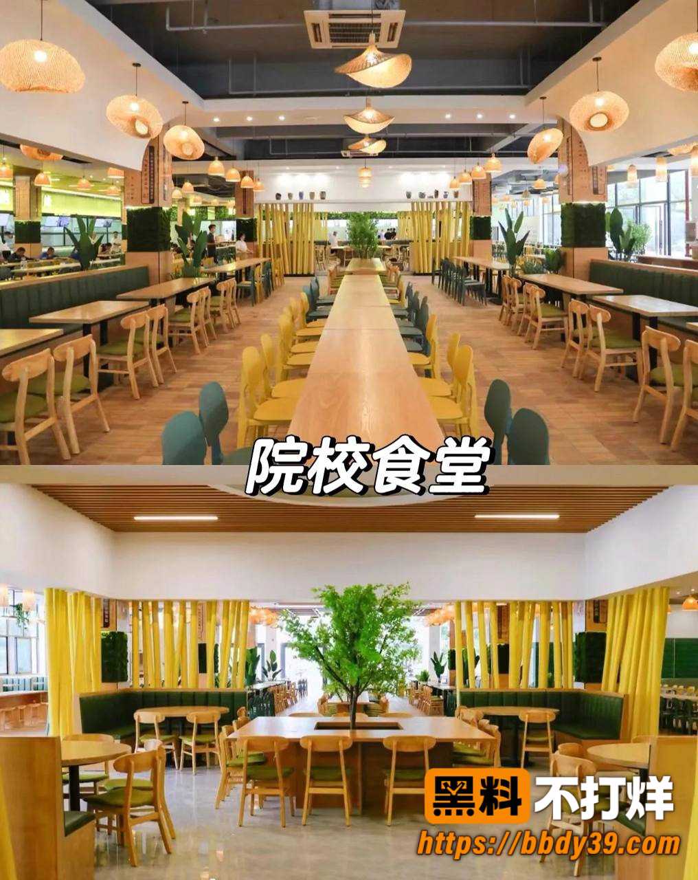 王伟建9