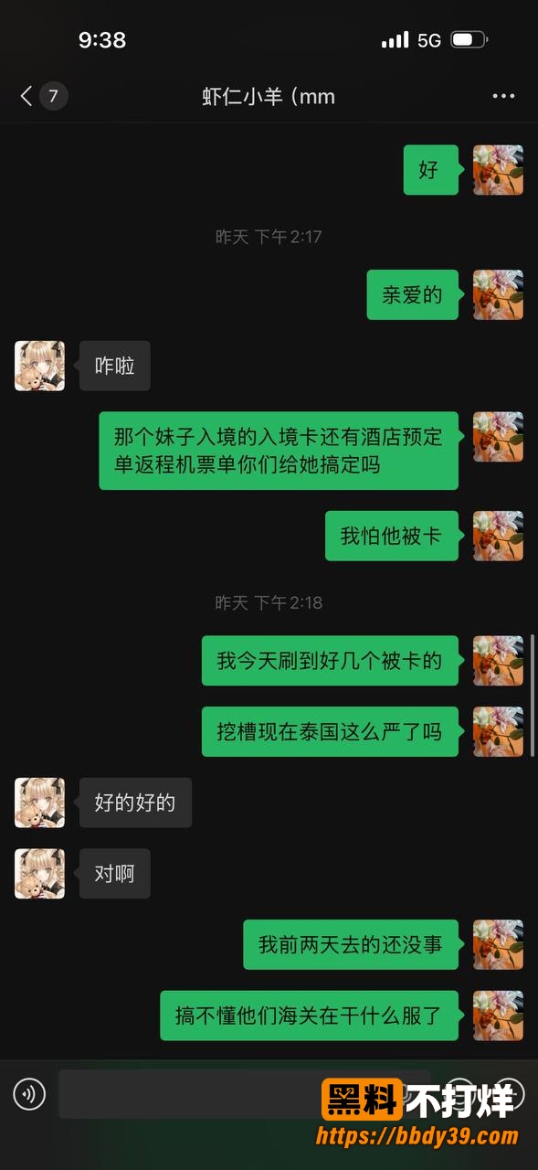虾仁小羊聊天记录9