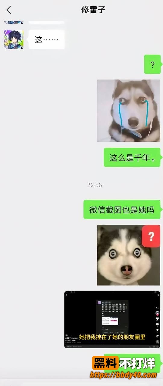 修雷子出轨13