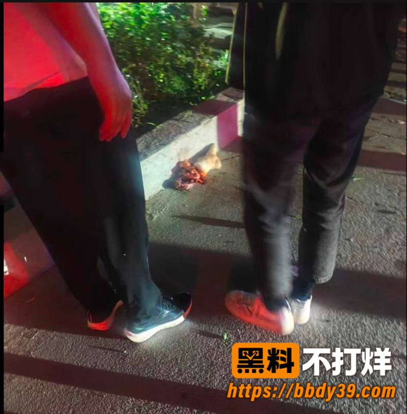 临沂临沭时代广场凌晨出大车祸 特斯拉疑似醉驾撞电动车 现场画面极其惨烈