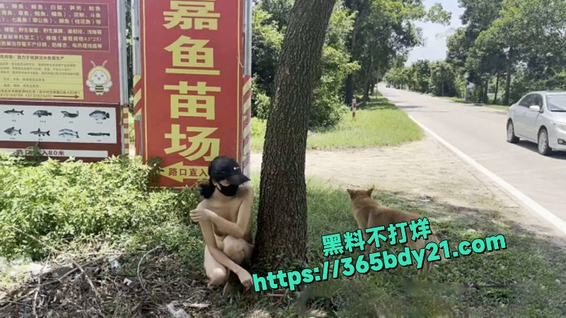 天花板级露出狂人御姐cikaimoon最新付费定制资源 2