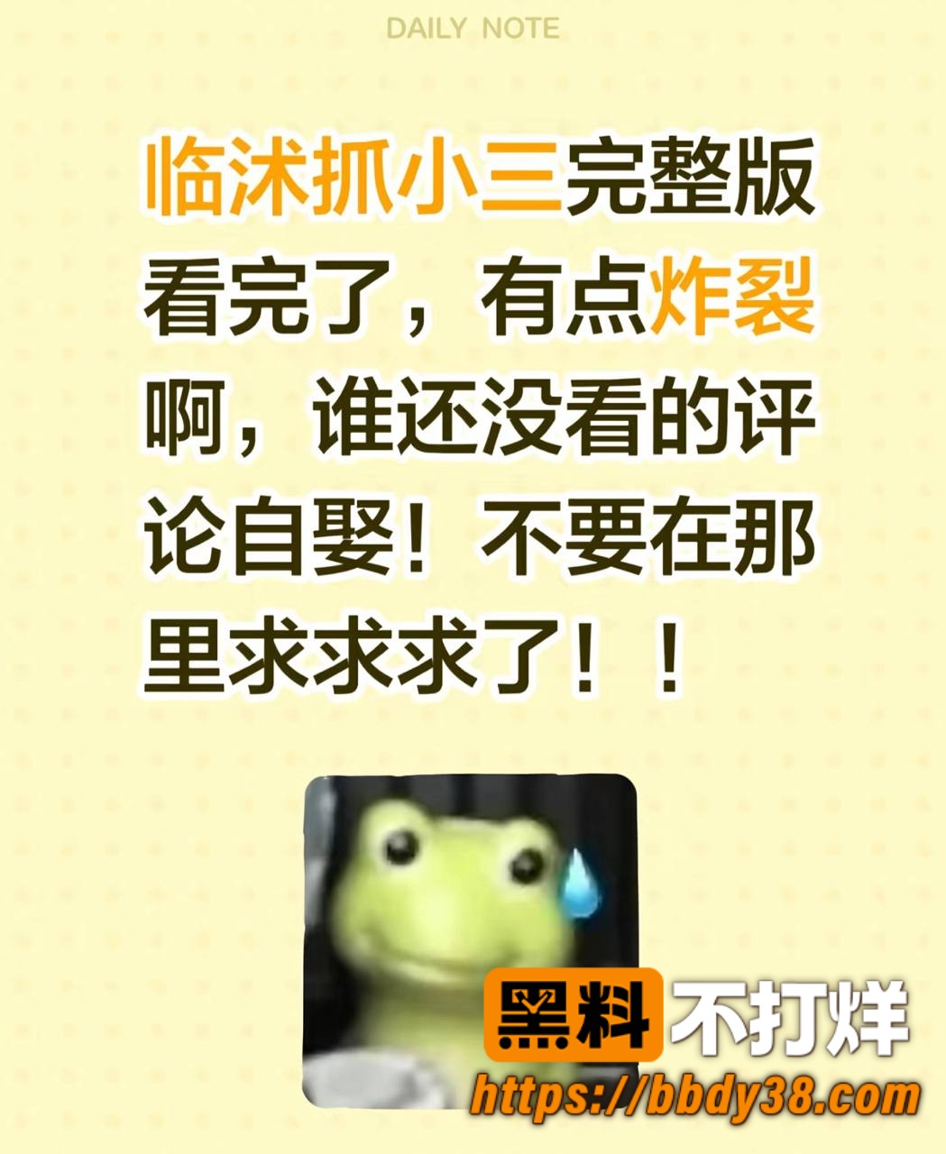 临沂临沭街头抓小三12