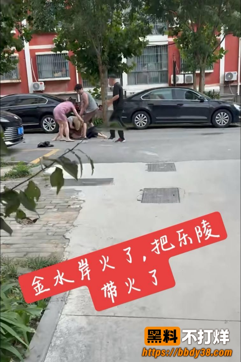 乐陵黄金水岸抓小三04