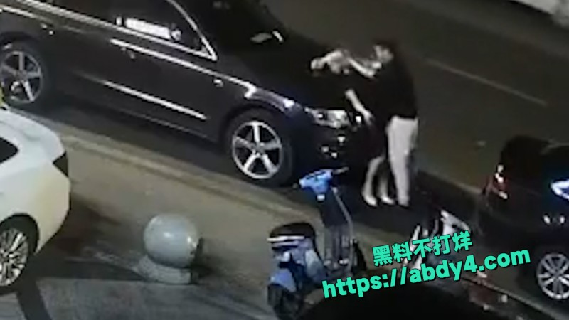 野鸳鸯精虫上脑 路边车旁激情啪啪 8