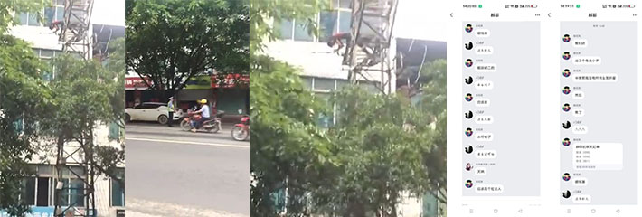 牛人,真他妈傻逼,爬电线杆求爱,焦了吧?哈哈哈