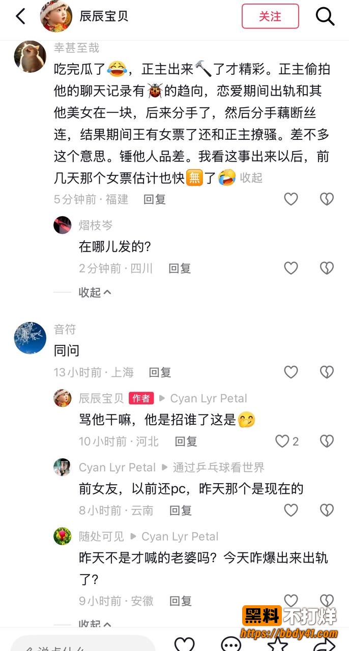 王晨策17