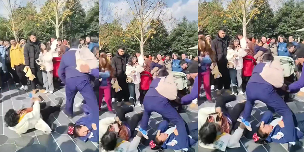 在上海迪士尼公园抢花车位引发的激烈群殴大战,游客们拳脚相加场面火爆