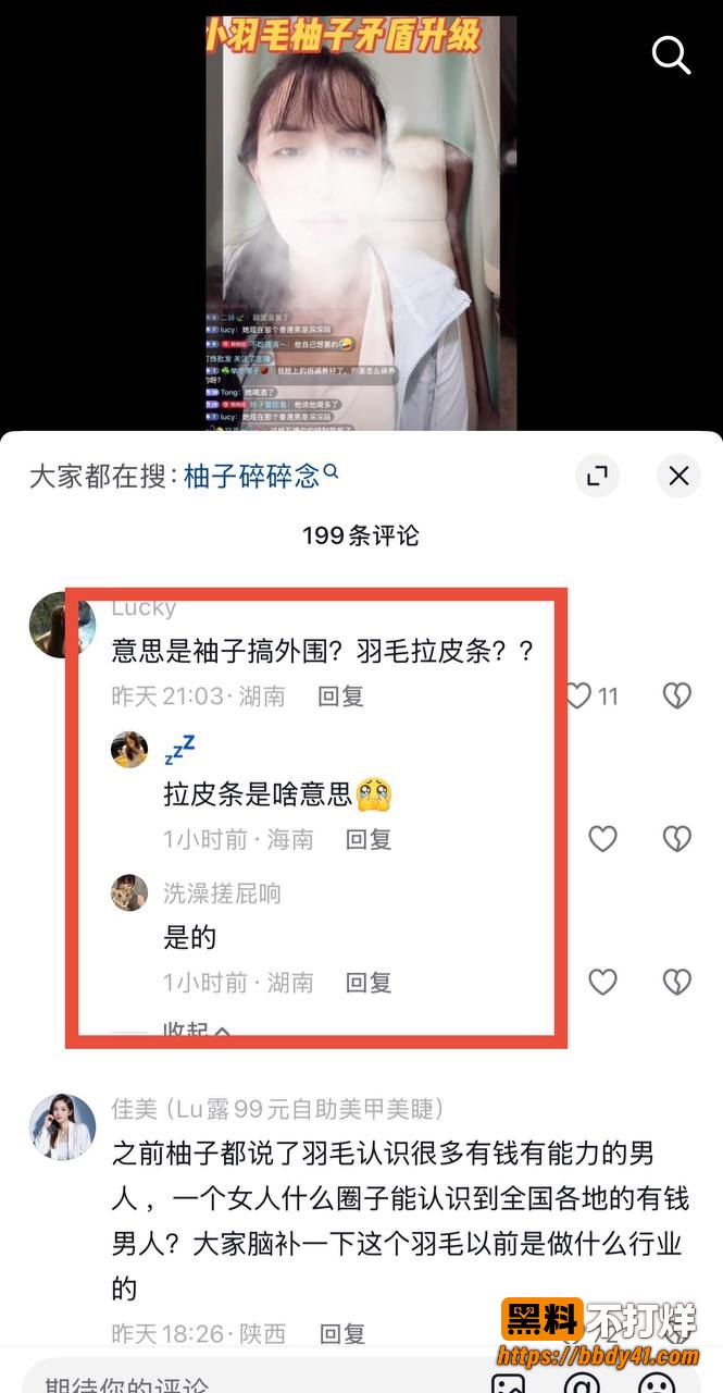小羽毛2
