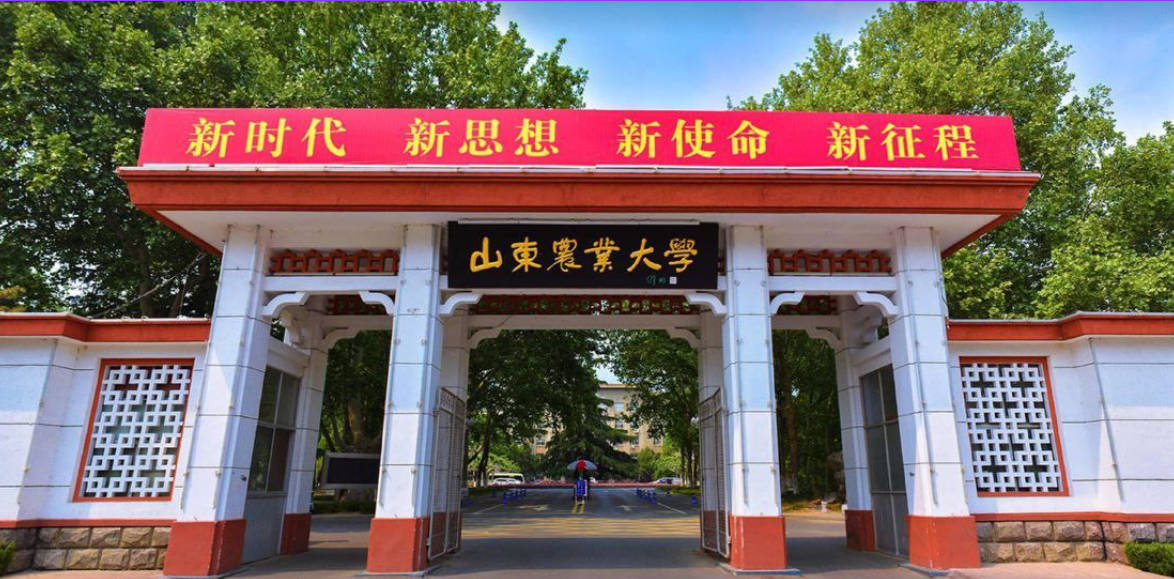 新思想,新使命!山东农业大学情侣在自习室里口交整活!牢记校训,不辱校风