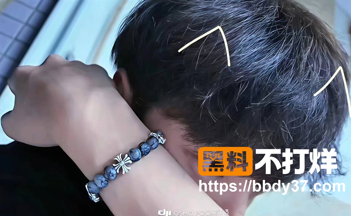 照片7