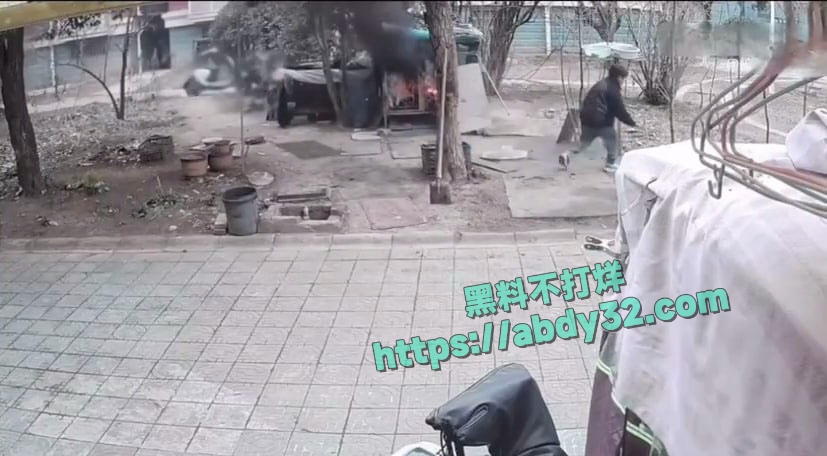 连云港两男孩烧死笼中萨摩耶 12