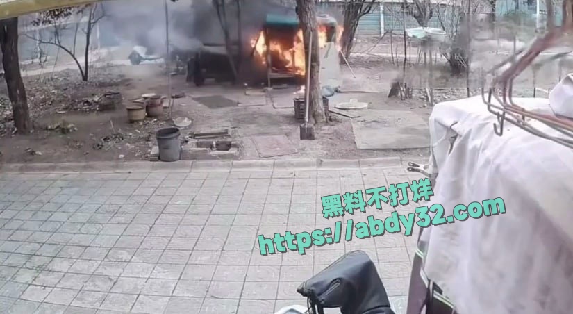 连云港两男孩烧死笼中萨摩耶 13